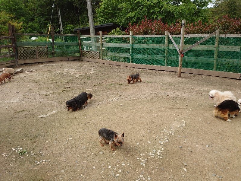 f：id：roukenhome-ann：20200521185635j：plain