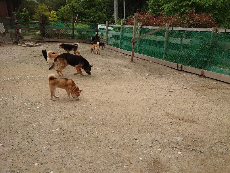 f：id：roukenhome-ann：20200521185730j：plain