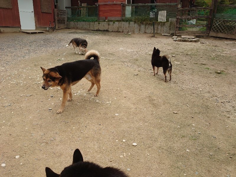f：id：roukenhome-ann：20200521185831j：plain