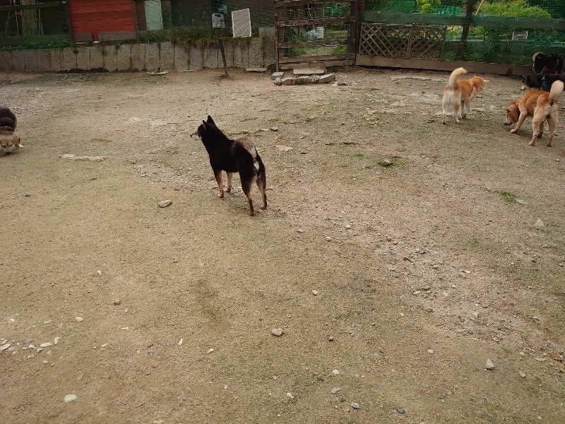 f：id：roukenhome-ann：20200521185836j：plain