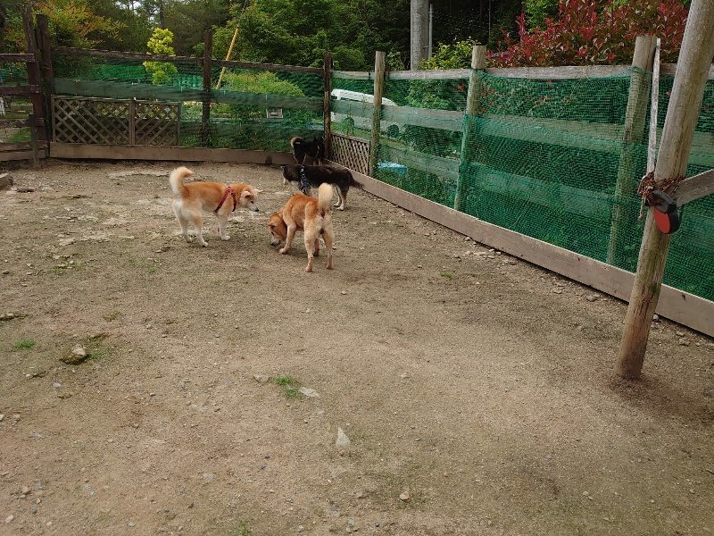 f：id：roukenhome-ann：20200521185842j：plain