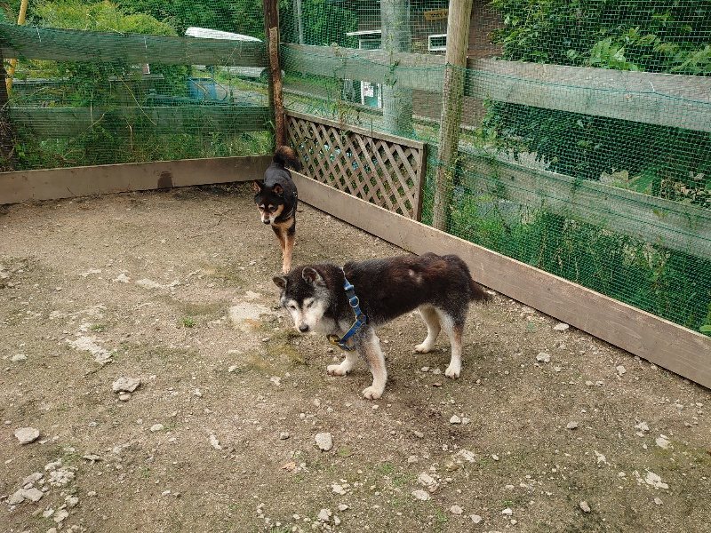 f：id：roukenhome-ann：20200521185930j：plain