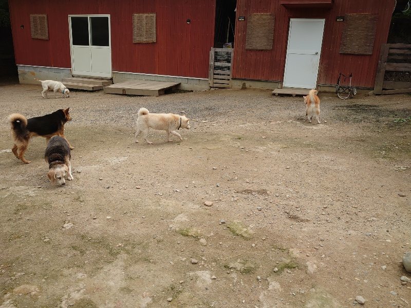f：id：roukenhome-ann：20200521191232j：plain