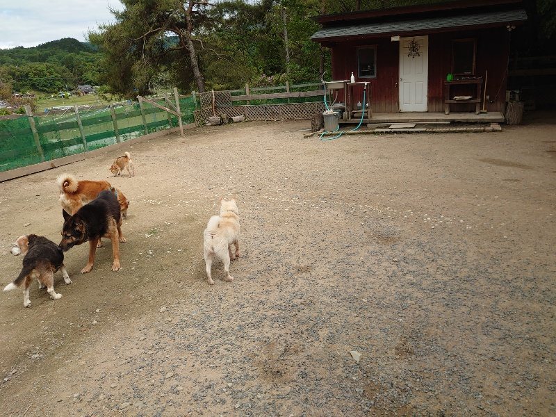 f：id：roukenhome-ann：20200521191602j：plain