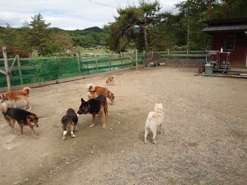 f：id：roukenhome-ann：20200521191613j：plain