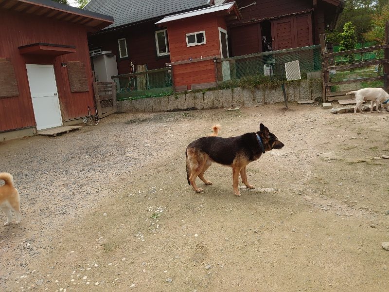 f：id：roukenhome-ann：20200521191745j：plain