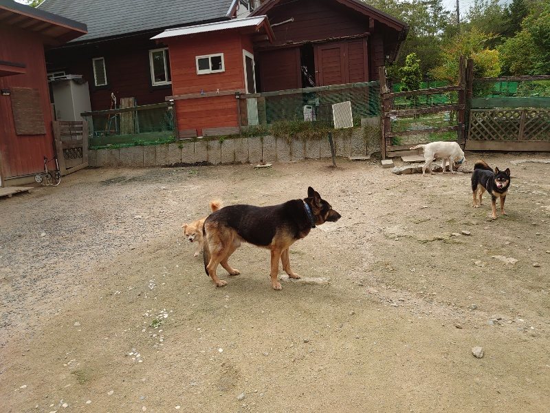 f：id：roukenhome-ann：20200521191751j：plain