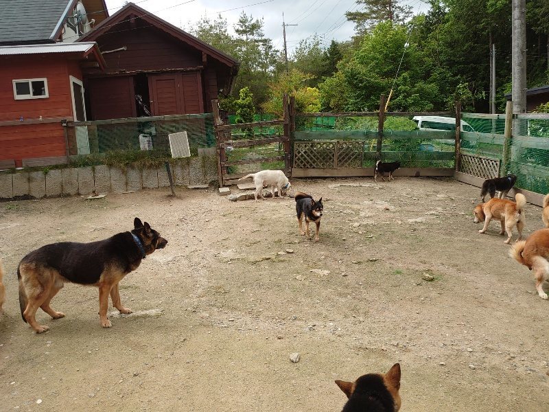 f：id：roukenhome-ann：20200521191756j：plain