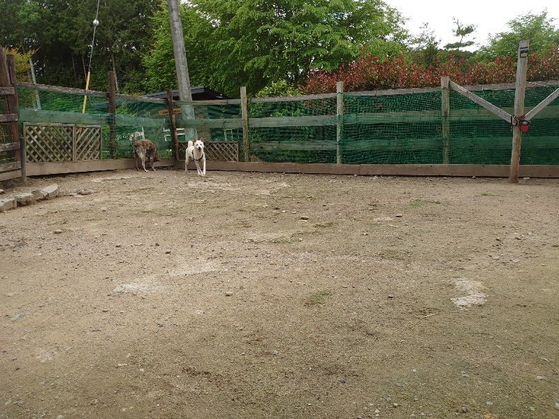 f：id：roukenhome-ann：20200521191935j：plain