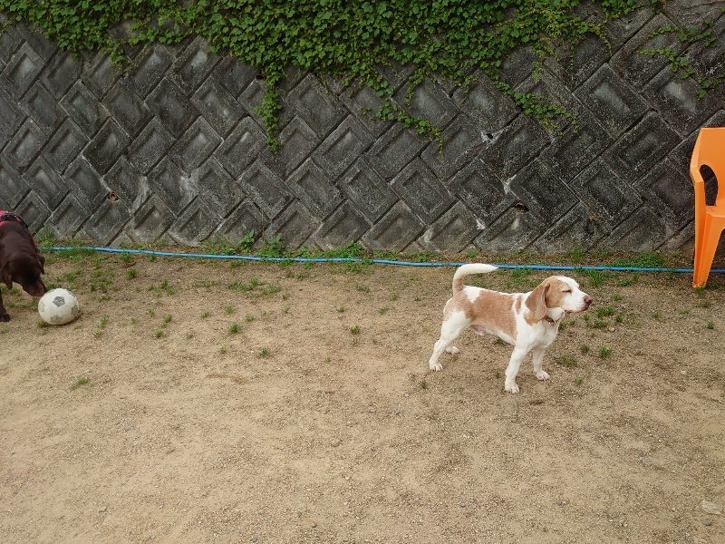 f:id:roukenhome-ann:20200525130043j:plain