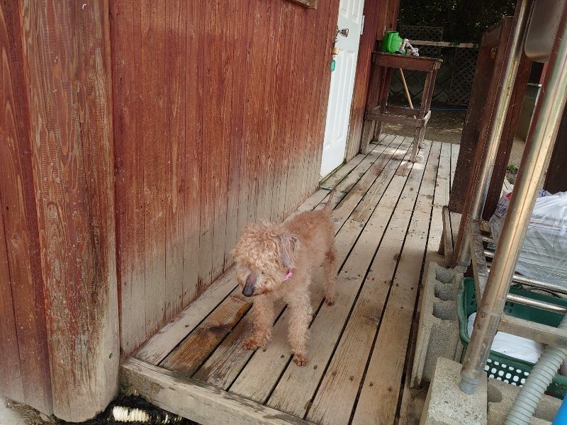 f:id:roukenhome-ann:20200525130621j:plain