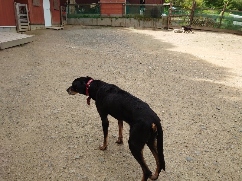 f:id:roukenhome-ann:20200525130758j:plain