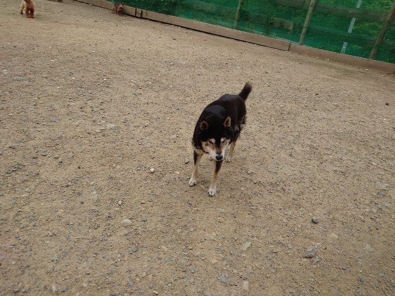f:id:roukenhome-ann:20200525130906j:plain