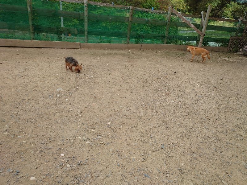f:id:roukenhome-ann:20200525131045j:plain