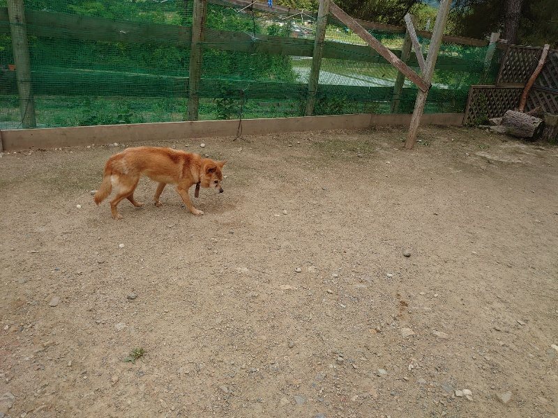 f:id:roukenhome-ann:20200525131145j:plain