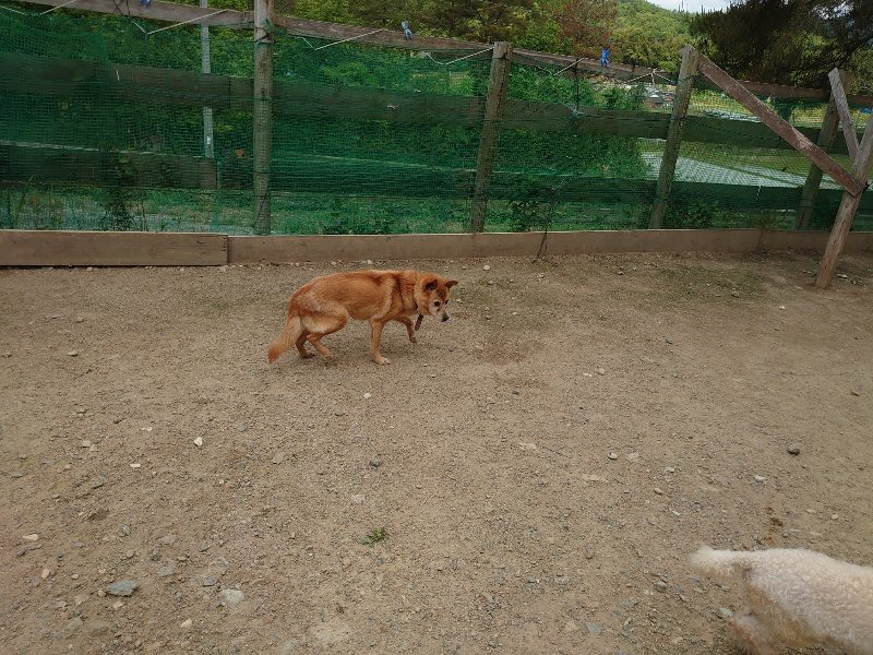 f:id:roukenhome-ann:20200525131151j:plain