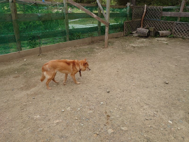 f:id:roukenhome-ann:20200525131202j:plain