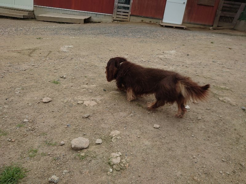 f:id:roukenhome-ann:20200525131526j:plain