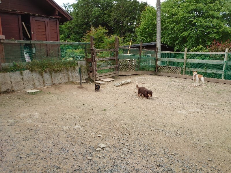 f:id:roukenhome-ann:20200525131751j:plain