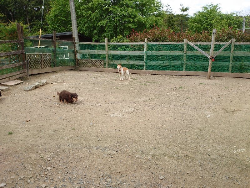 f:id:roukenhome-ann:20200525131801j:plain