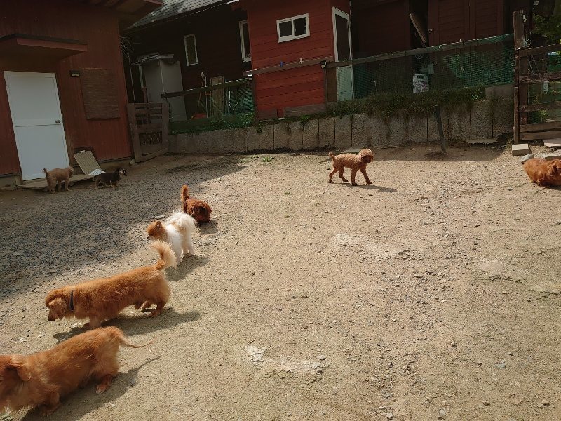 f:id:roukenhome-ann:20200525131925j:plain