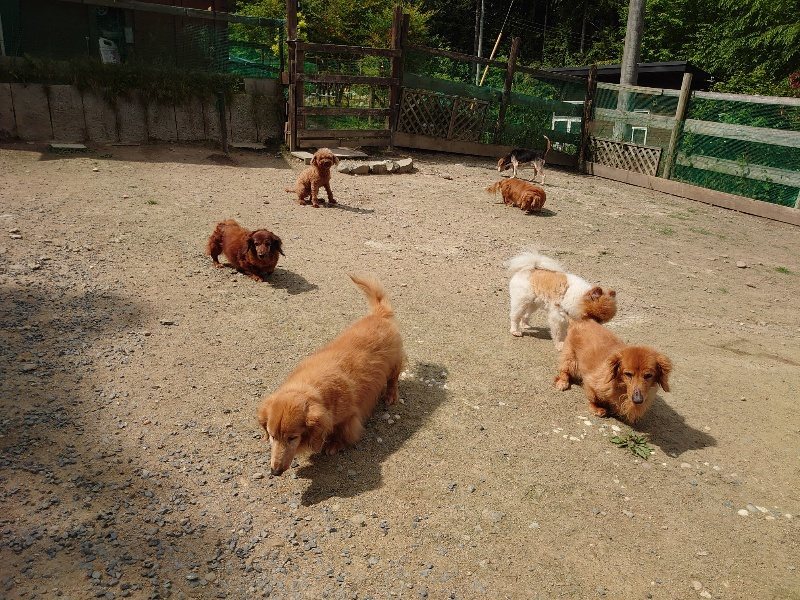 f:id:roukenhome-ann:20200525132015j:plain