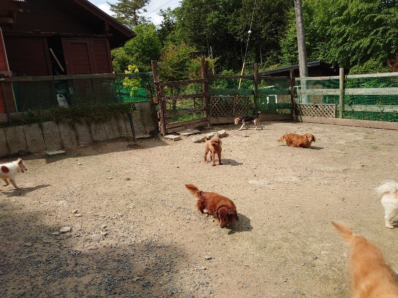 f:id:roukenhome-ann:20200525132032j:plain