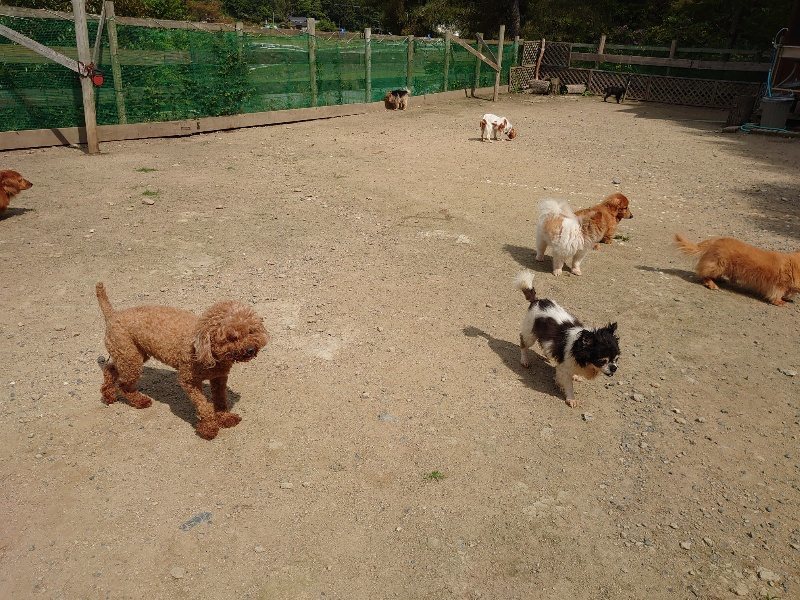 f:id:roukenhome-ann:20200525132239j:plain