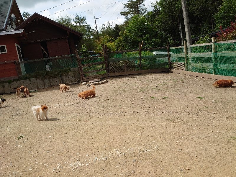 f:id:roukenhome-ann:20200525132636j:plain