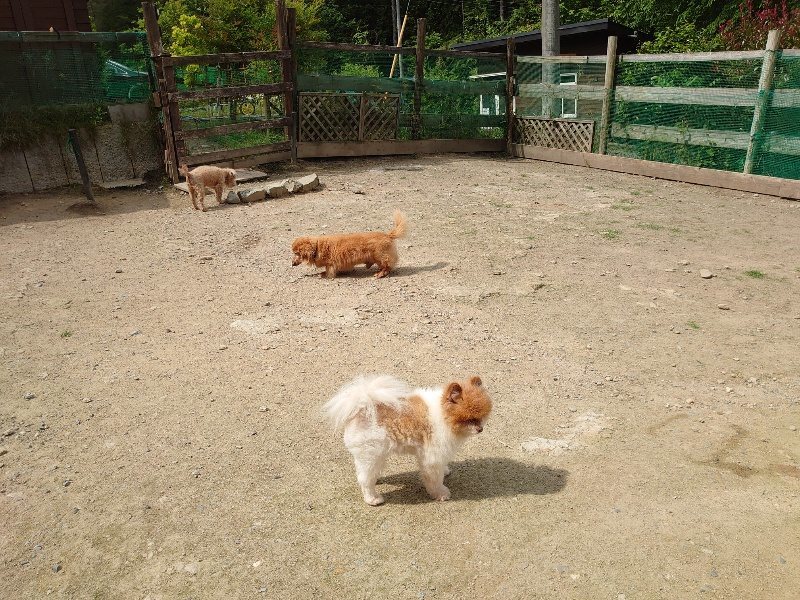 f:id:roukenhome-ann:20200525132716j:plain