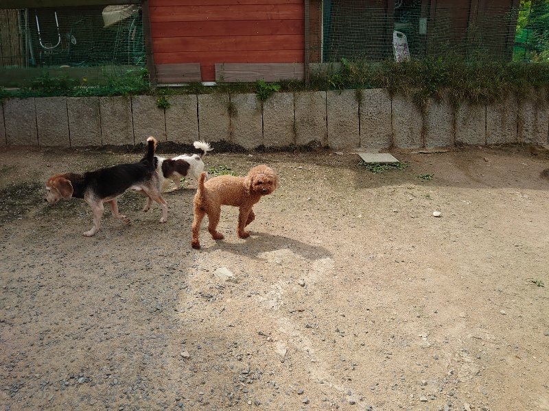 f:id:roukenhome-ann:20200525132739j:plain