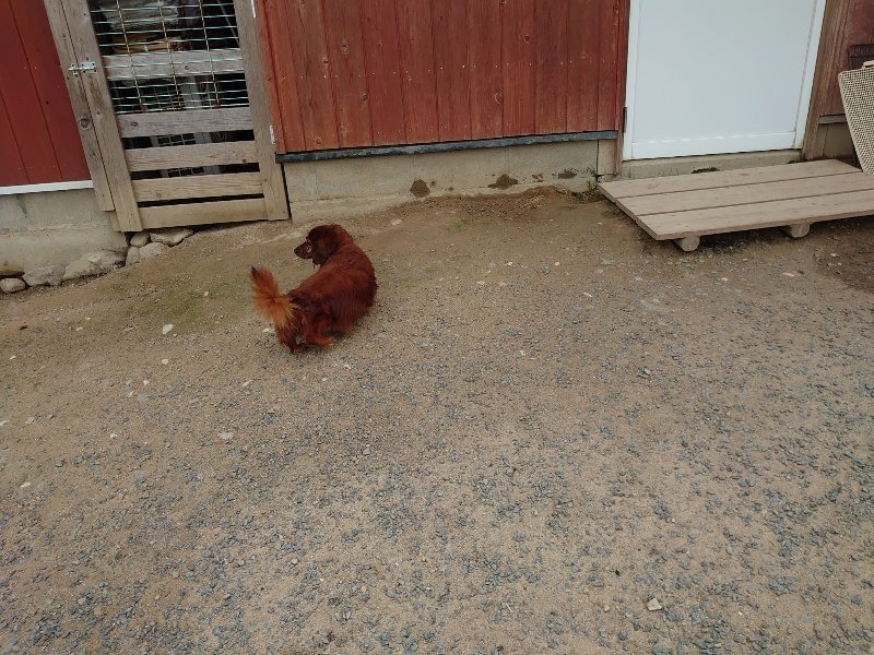 f:id:roukenhome-ann:20200525132807j:plain