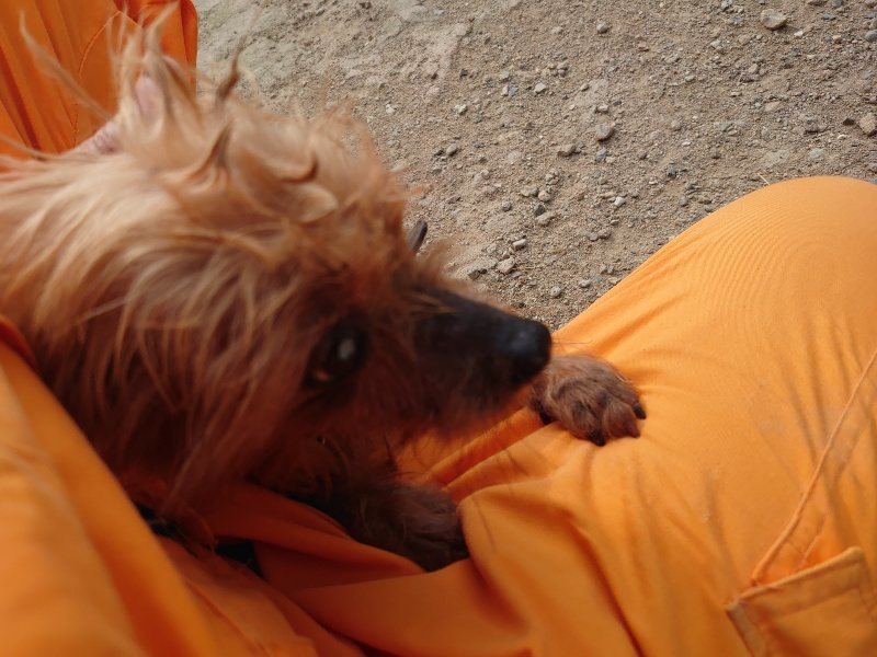 f：id：roukenhome-ann：20200526065612j：plain