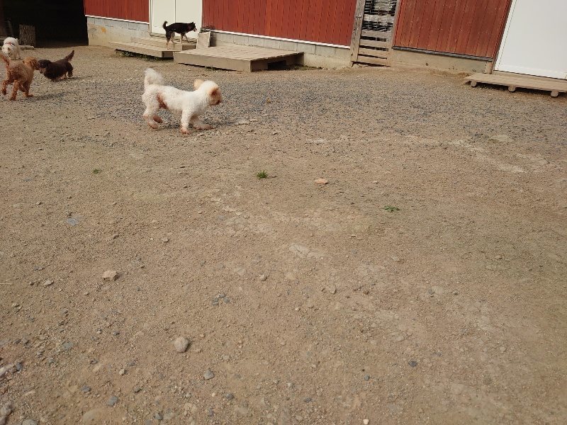 f：id：roukenhome-ann：20200526065645j：plain