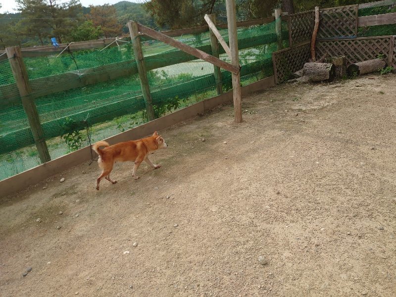 f：id：roukenhome-ann：20200526070409j：plain