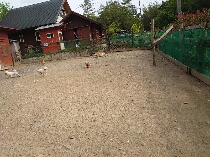 f：id：roukenhome-ann：20200526070545j：plain
