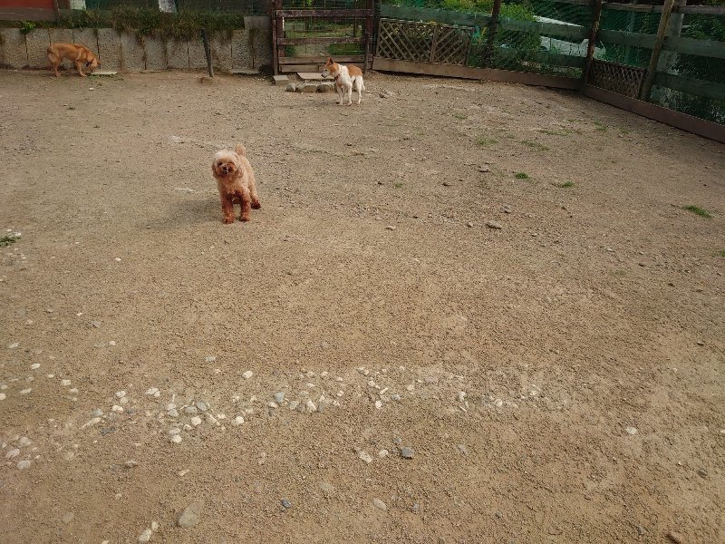 f：id：roukenhome-ann：20200526070636j：plain