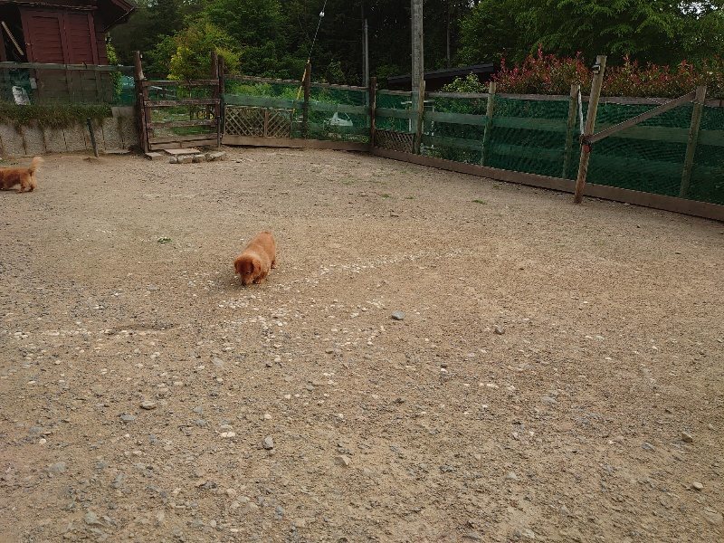 f：id：roukenhome-ann：20200526070958j：plain
