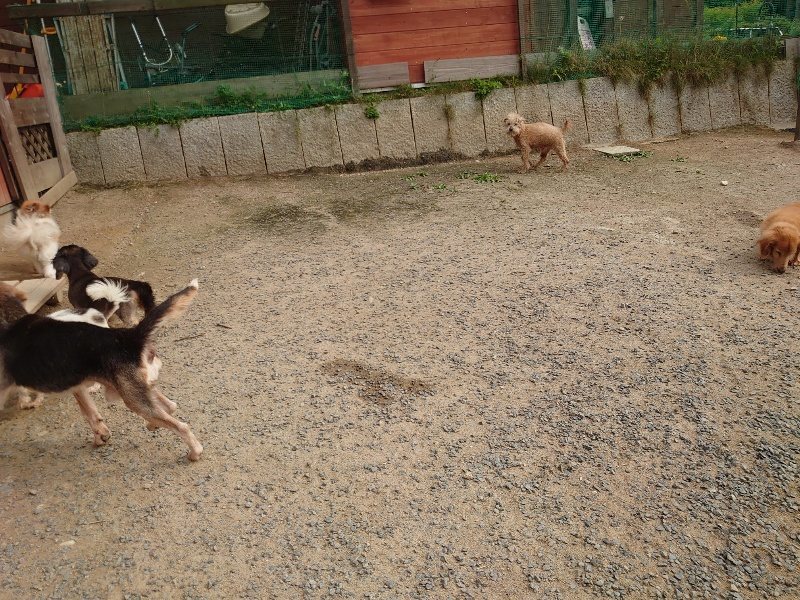 f：id：roukenhome-ann：20200526071258j：plain