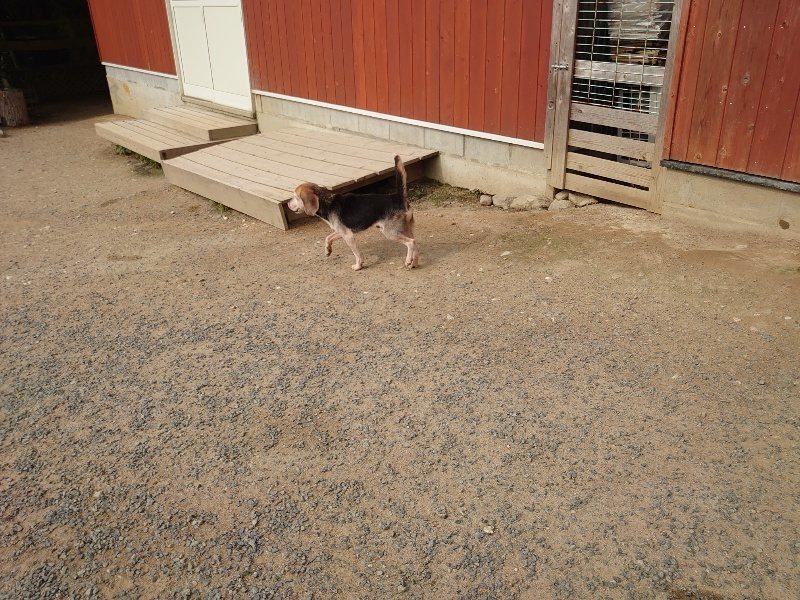 f：id：roukenhome-ann：20200526071738j：plain
