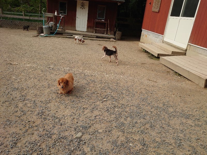 f：id：roukenhome-ann：20200526071743j：plain