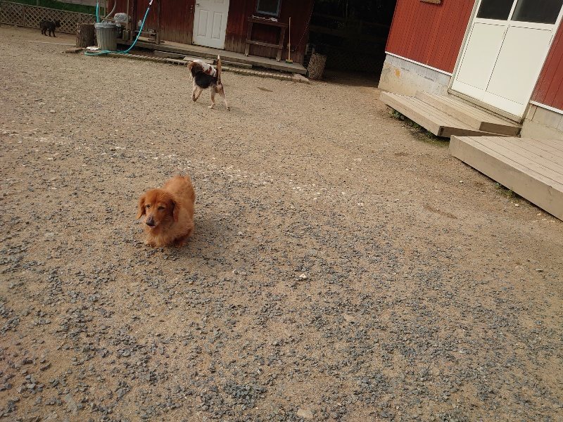 f：id：roukenhome-ann：20200526071755j：plain