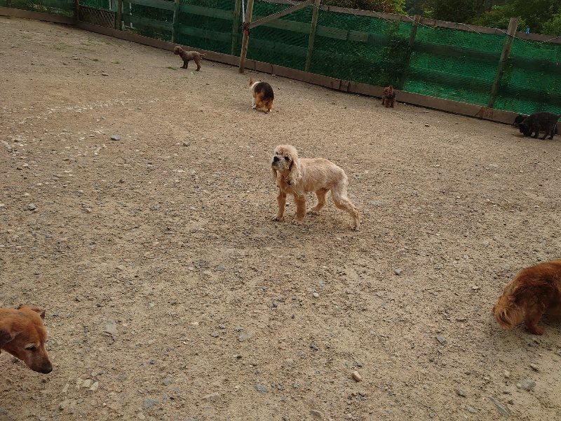 f：id：roukenhome-ann：20200526072147j：plain