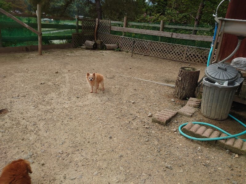 f：id：roukenhome-ann：20200526072202j：plain