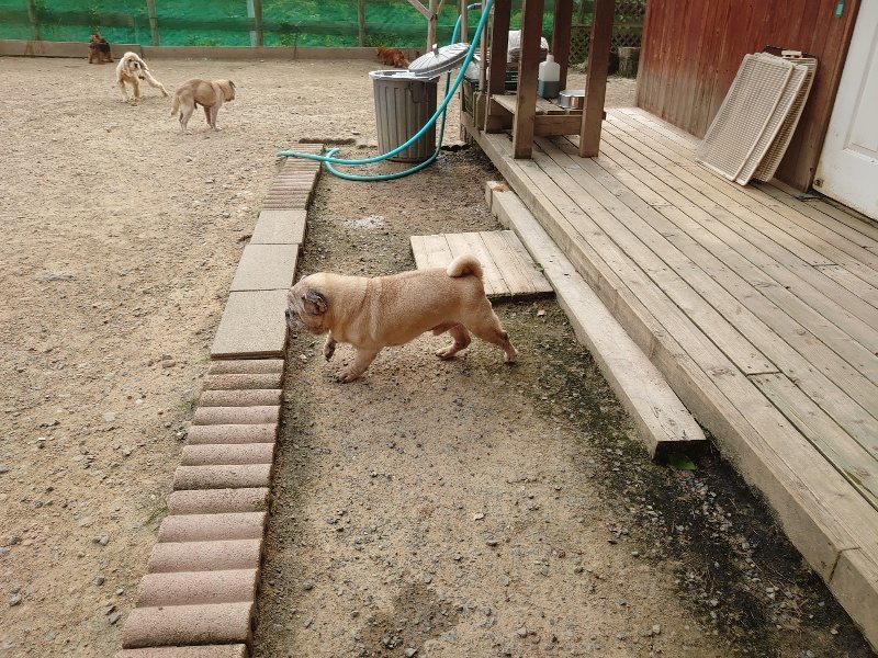 f：id：roukenhome-ann：20200526072403j：plain