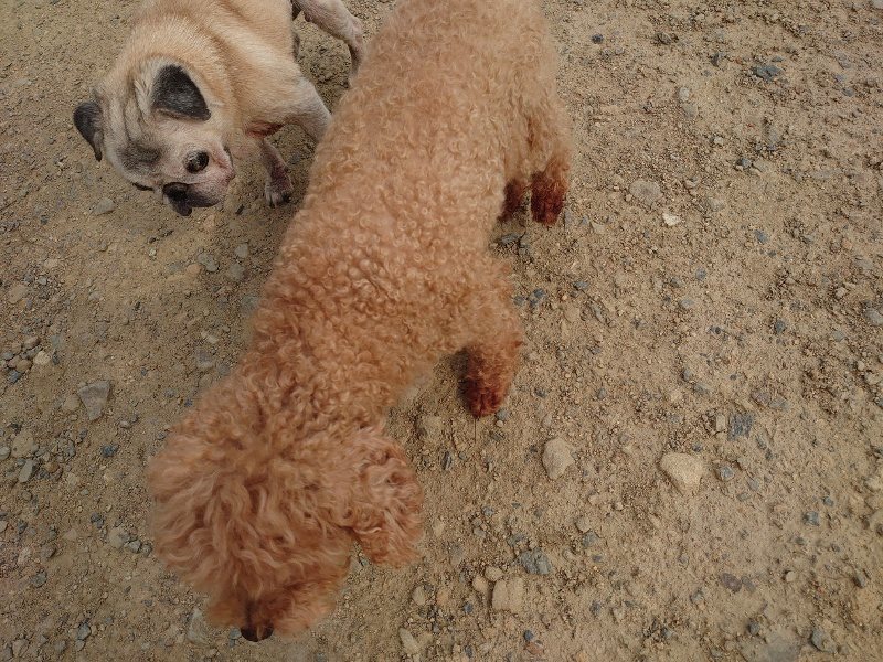 f：id：roukenhome-ann：20200526072539j：plain