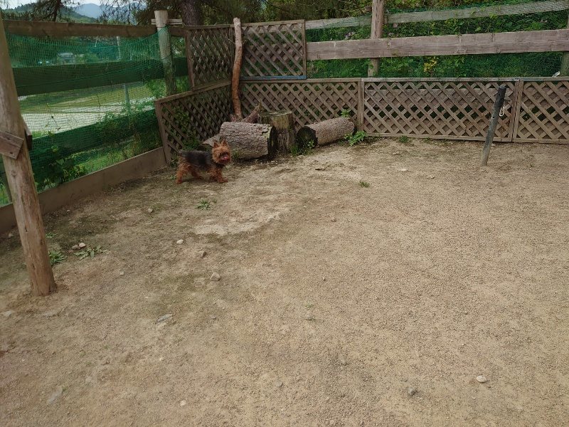 f：id：roukenhome-ann：20200526072739j：plain