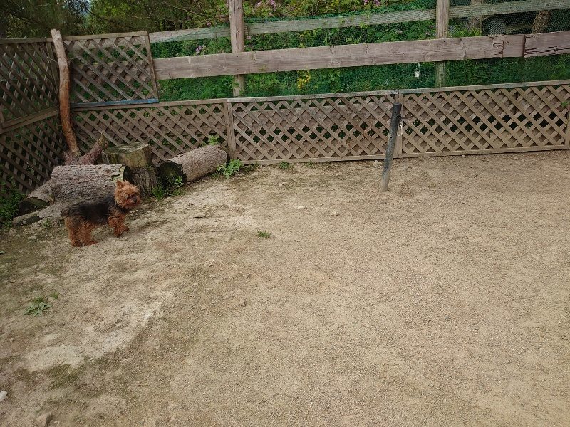 f：id：roukenhome-ann：20200526072819j：plain