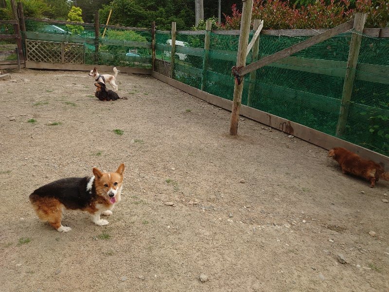 f：id：roukenhome-ann：20200526073201j：plain