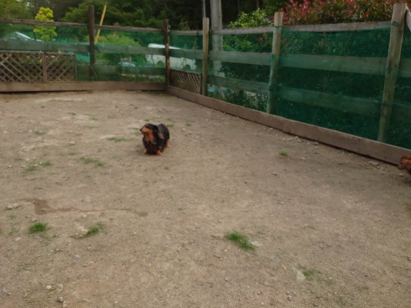 f：id：roukenhome-ann：20200526073228j：plain